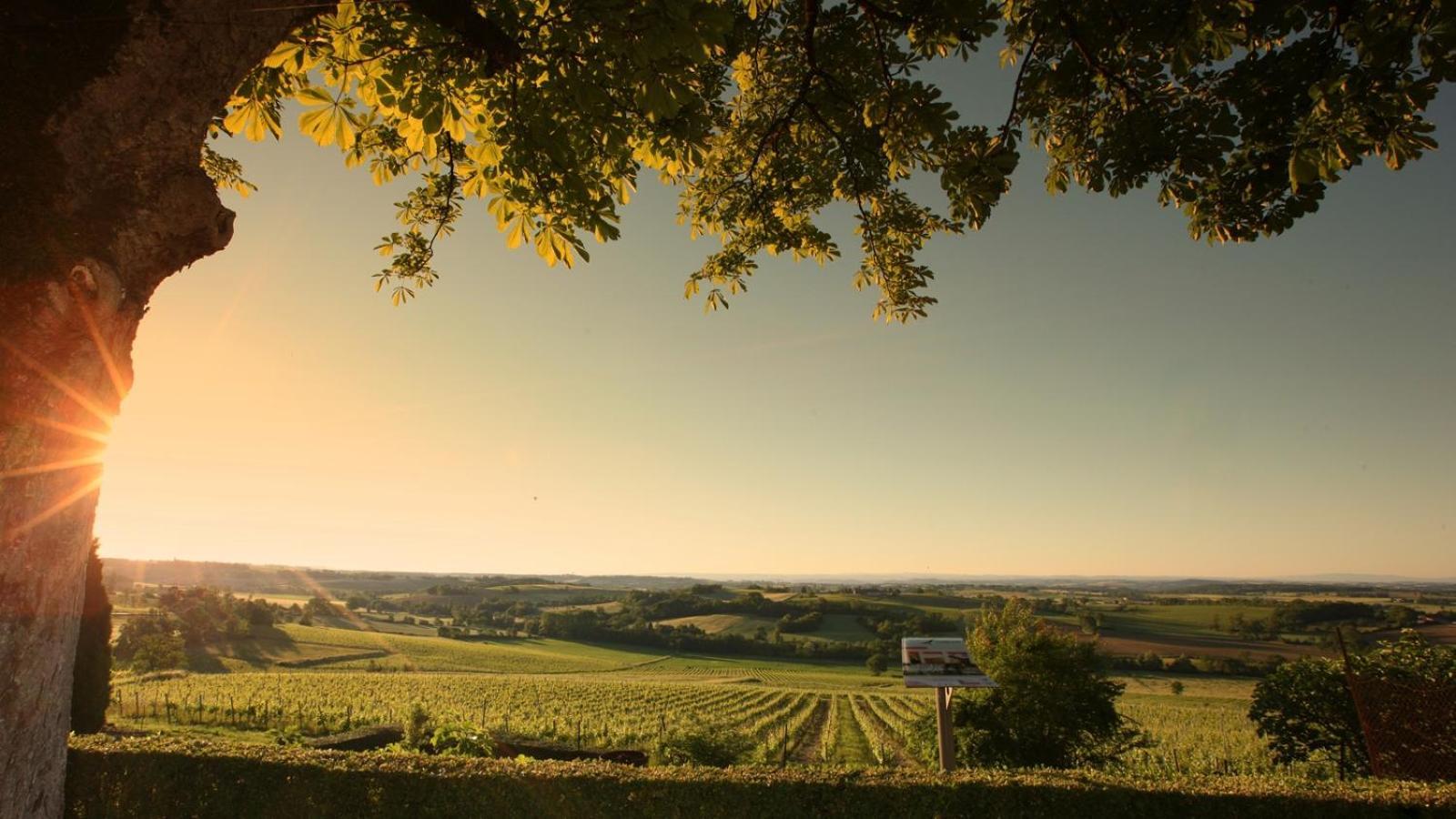 Domaine De La Monestarie - Teritoria Hotell Bernac  Eksteriør bilde