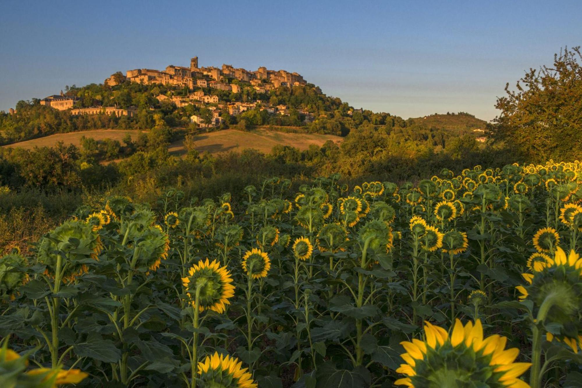 Domaine De La Monestarie - Teritoria Hotell Bernac  Eksteriør bilde